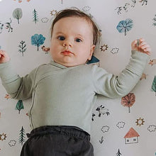 Load image into Gallery viewer, Farm Animals, Changing Pad Covers (2-Pack)