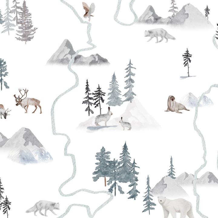Arctic Journey