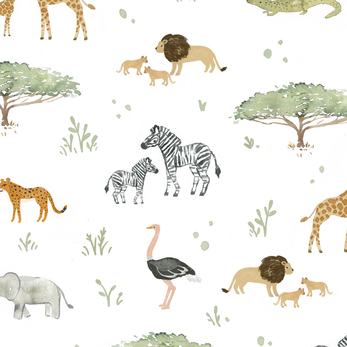 Safari Adventure