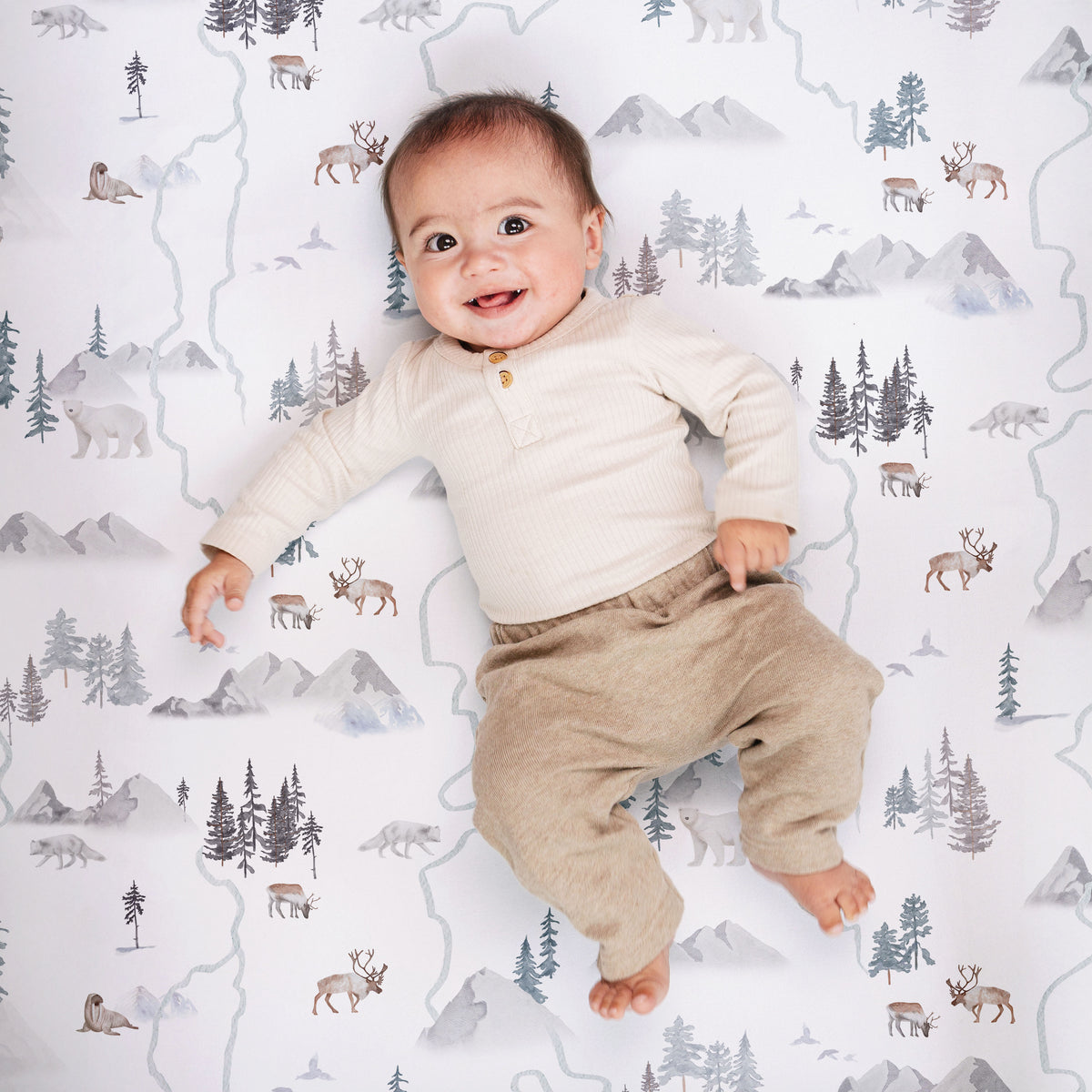 Arctic Journey, Crib Sheets (2-Pack)