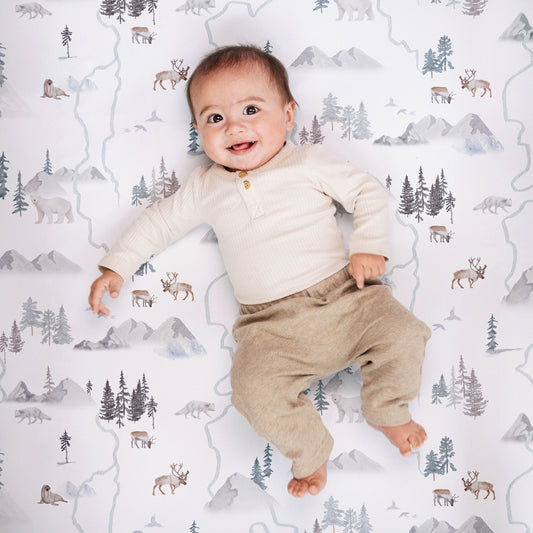 Arctic Journey, Crib Sheets (2-Pack)