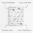 Load image into Gallery viewer, Arctic Journey, Bassinet Sheets (2-Pack)
