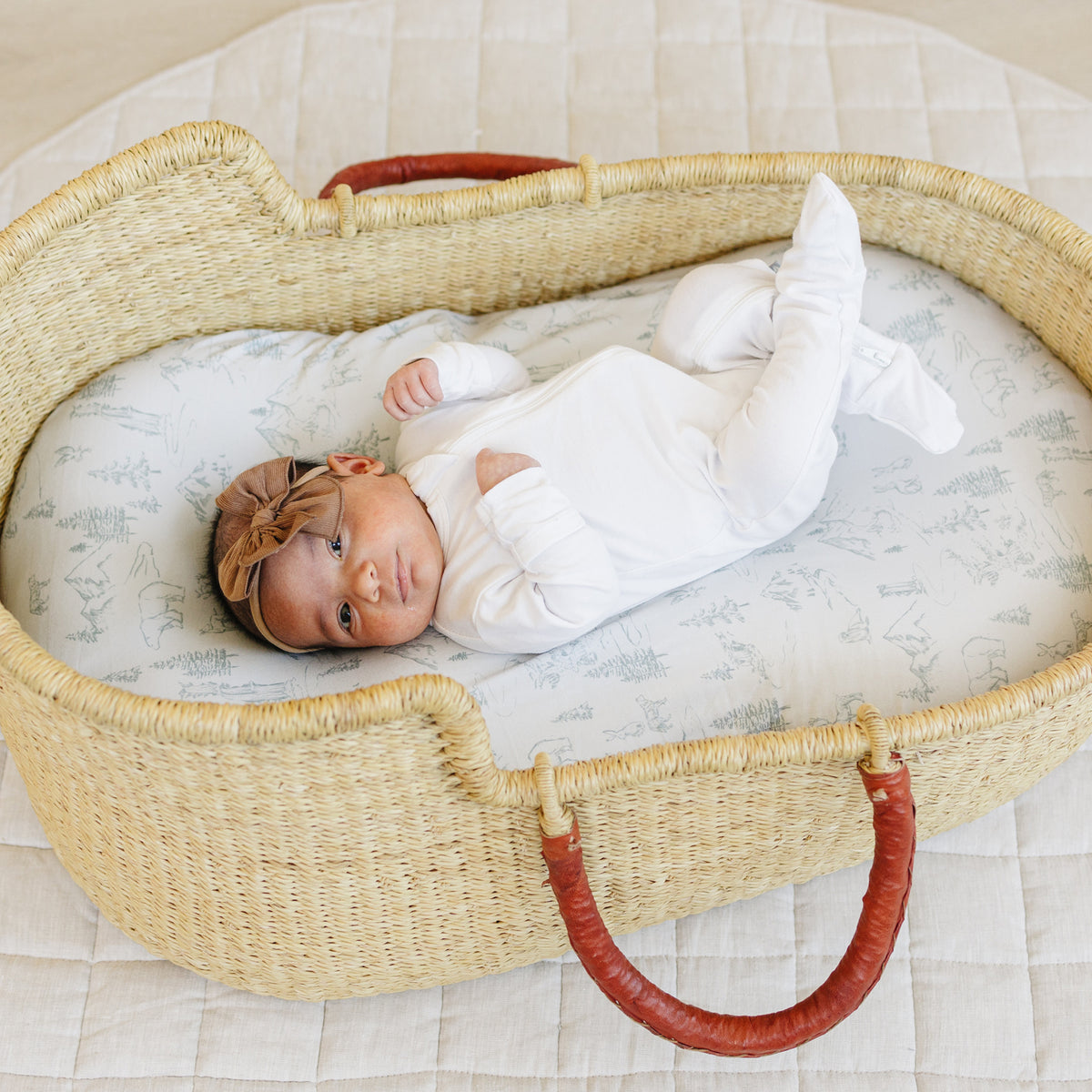 Arctic Journey, Bassinet Sheets (2-Pack)