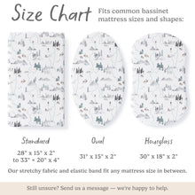 Load image into Gallery viewer, Arctic Journey, Bassinet Sheets (2-Pack)