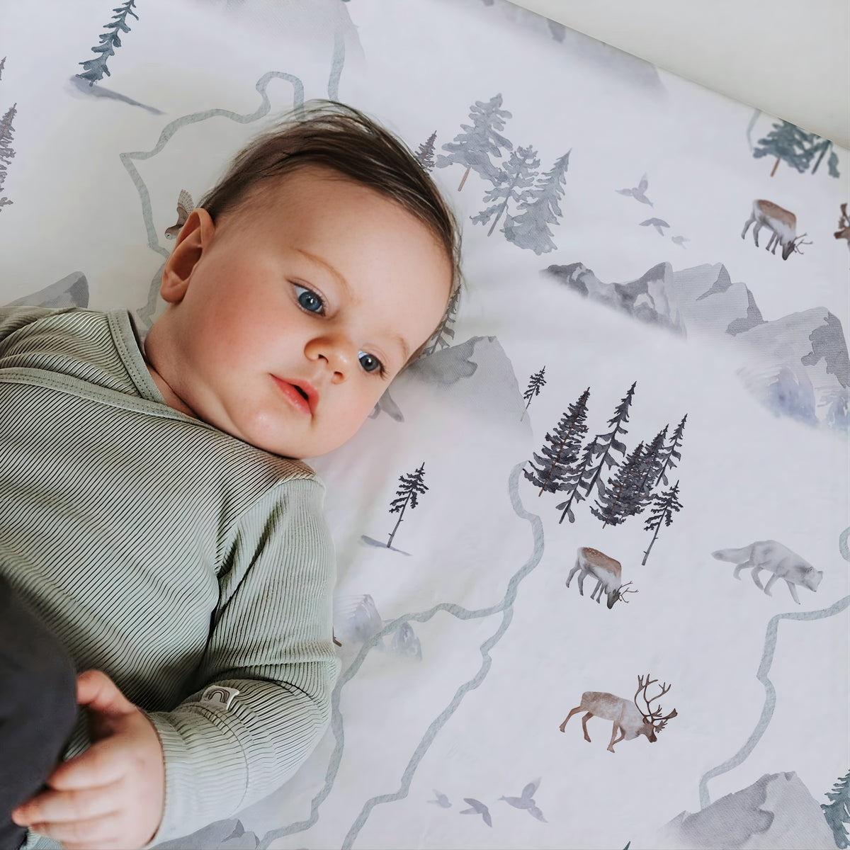 Arctic Journey, Crib Sheets (2-Pack)
