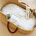 Load image into Gallery viewer, Arctic Journey, Bassinet Sheets (2-Pack)
