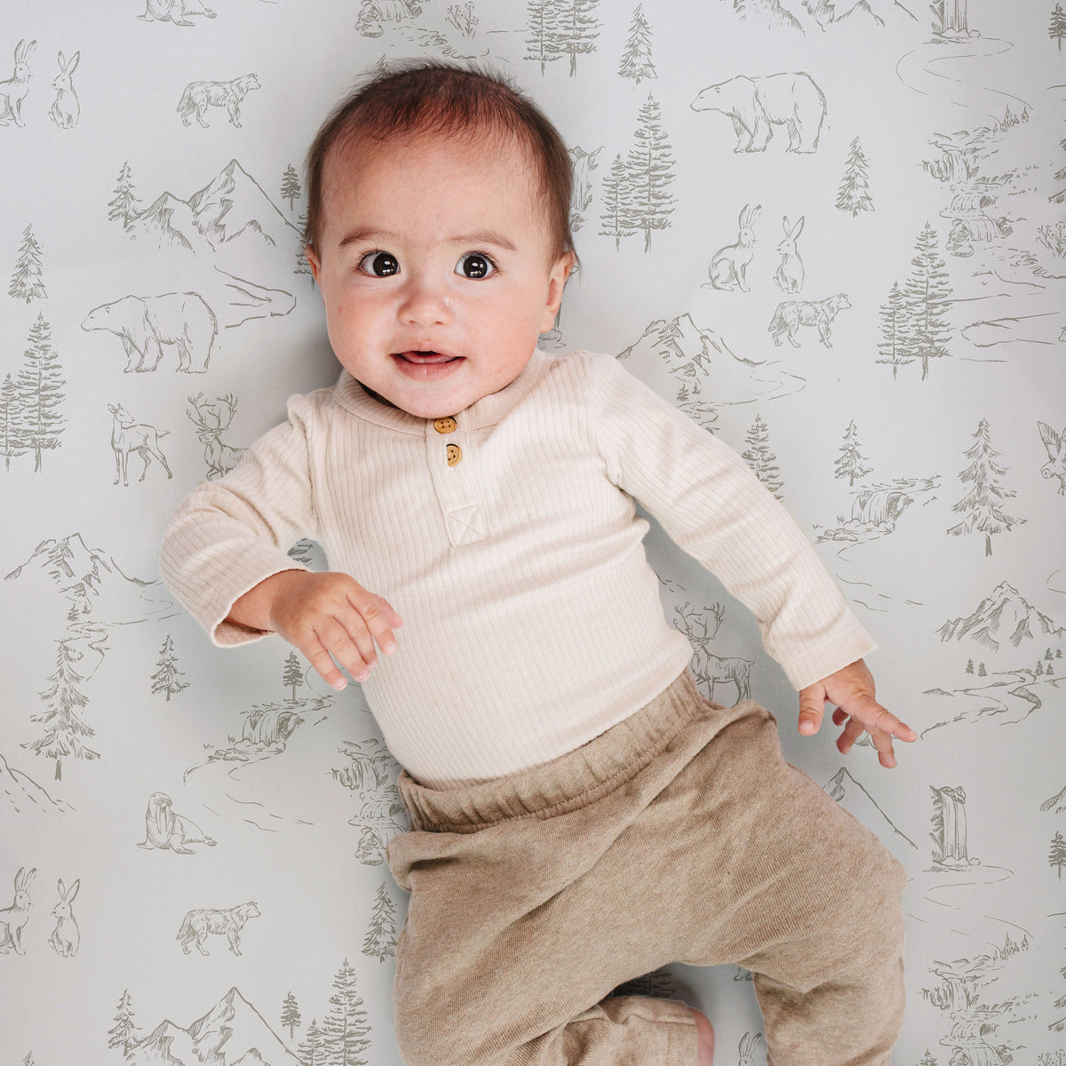 Arctic Journey, Crib Sheets (2-Pack)