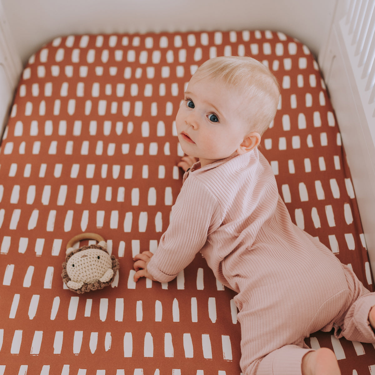 Safari Adventure, Crib Sheets (2-Pack)