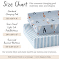 Load image into Gallery viewer, Airplanes in the Clouds, Changing Pad Covers (2-Pack)
