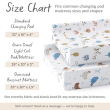 Load image into Gallery viewer, Farm Animals, Changing Pad Covers (2-Pack)