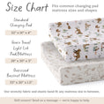 Load image into Gallery viewer, Magic Forest, Changing Pad Covers (2-Pack)
